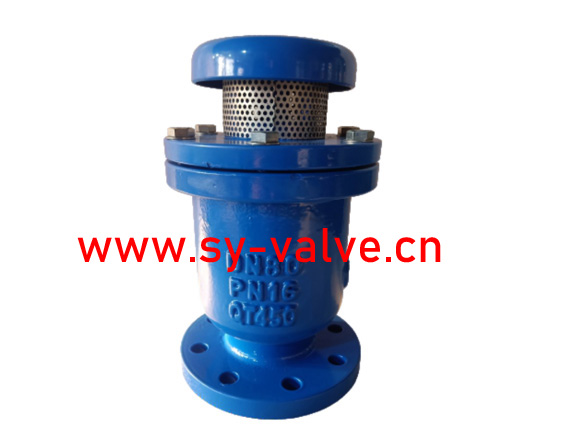 CARX复合式排气阀